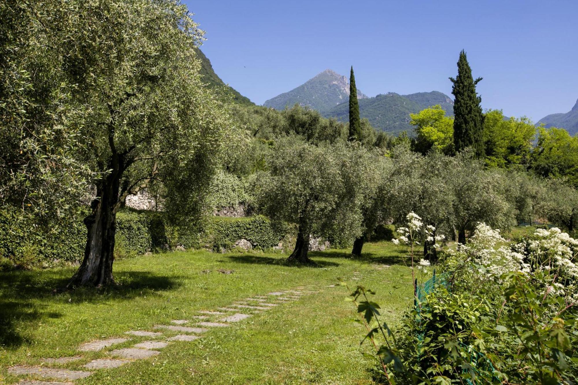 Lake View Dom-Us Apartment - Happy Rentals Riva del Garda Exterior foto